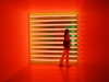 2007_7_danflavin
