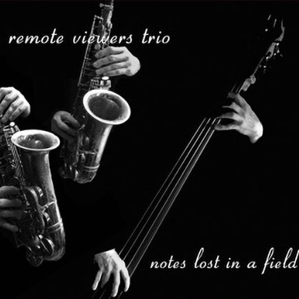 REMOTE VIEWERS TRIO: Notes Lost in a Field
